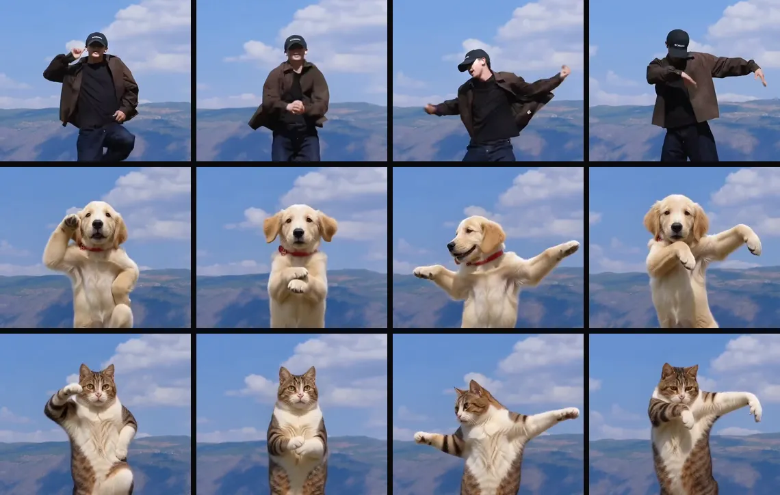The same moments of the dance: the dancer, the golden retriever puppy and Poldino the cat