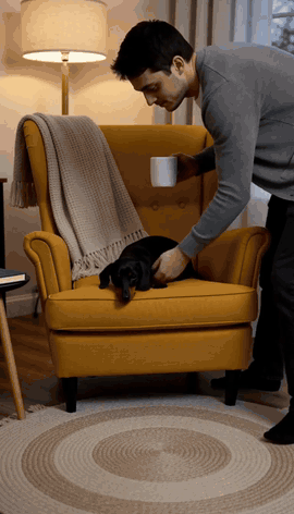A black dog curls up in a yellow armchair while its owner ends up on the floor with his coffee