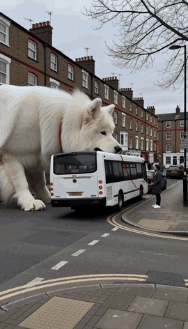 A giant white dog lifts a bus on a city street, and its owner below holds the lead as if nothing is happening