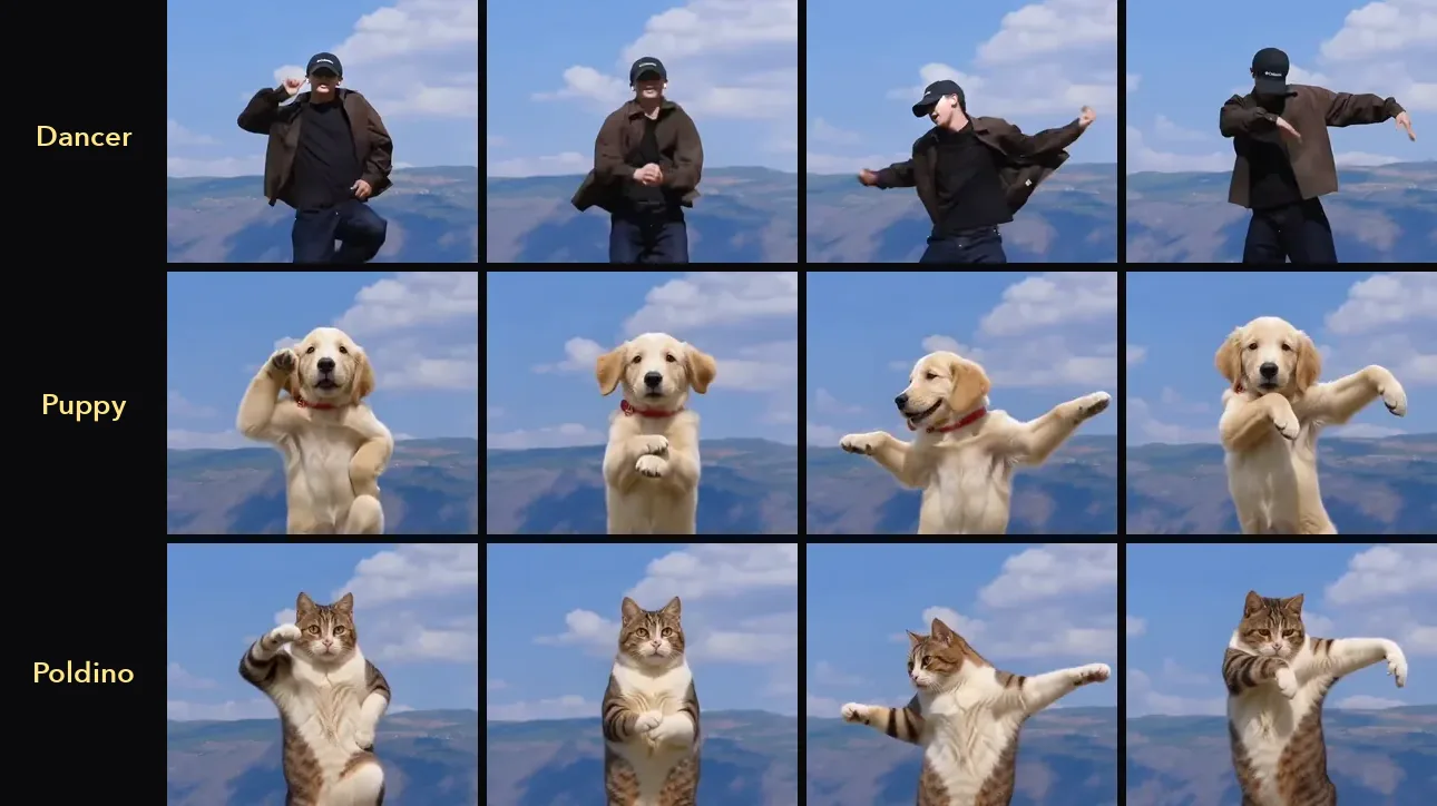The same four moments of one dance: the human dancer on top, a golden retriever puppy in the middle and Poldino the cat below, all in the same pose