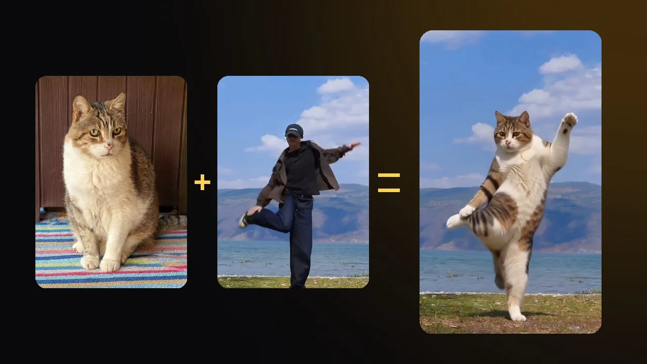 A cat photo plus a dance clip equals the cat doing the same dance in the same place