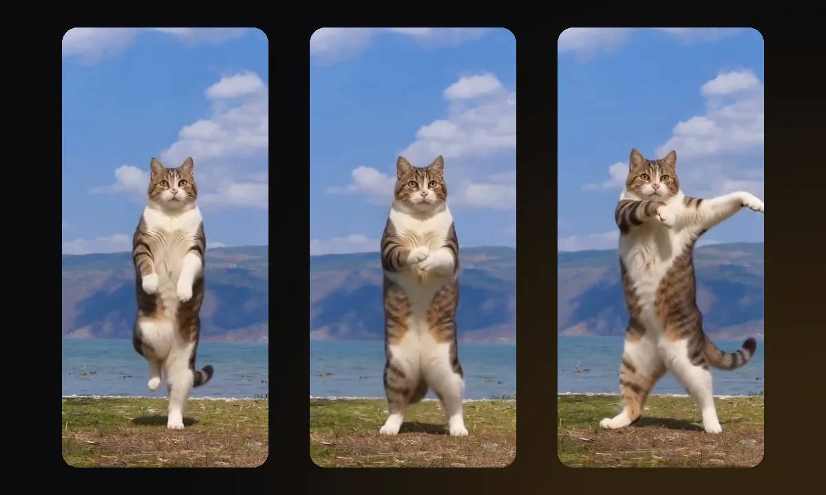 Three frames of Poldino the cat dancing upright by a lake: a raised knee, front paws held together, and one front leg stretched out