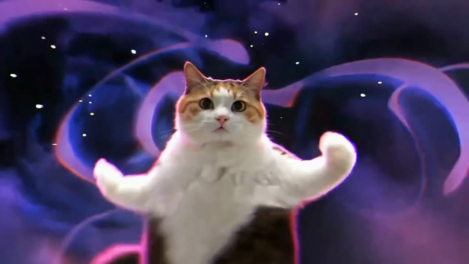 A calico cat dancing with its arms out against a purple galaxy background